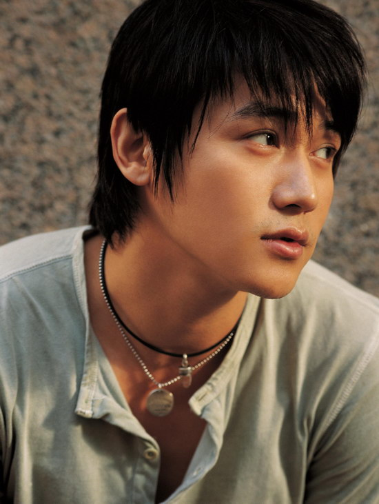 娱乐圈的8大“海岩男郎”，年轻时个个丰神俊朗，气宇不凡