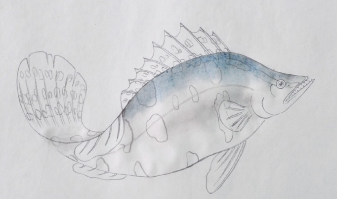 分步骤讲解工笔鳜鱼的基本画法及染色