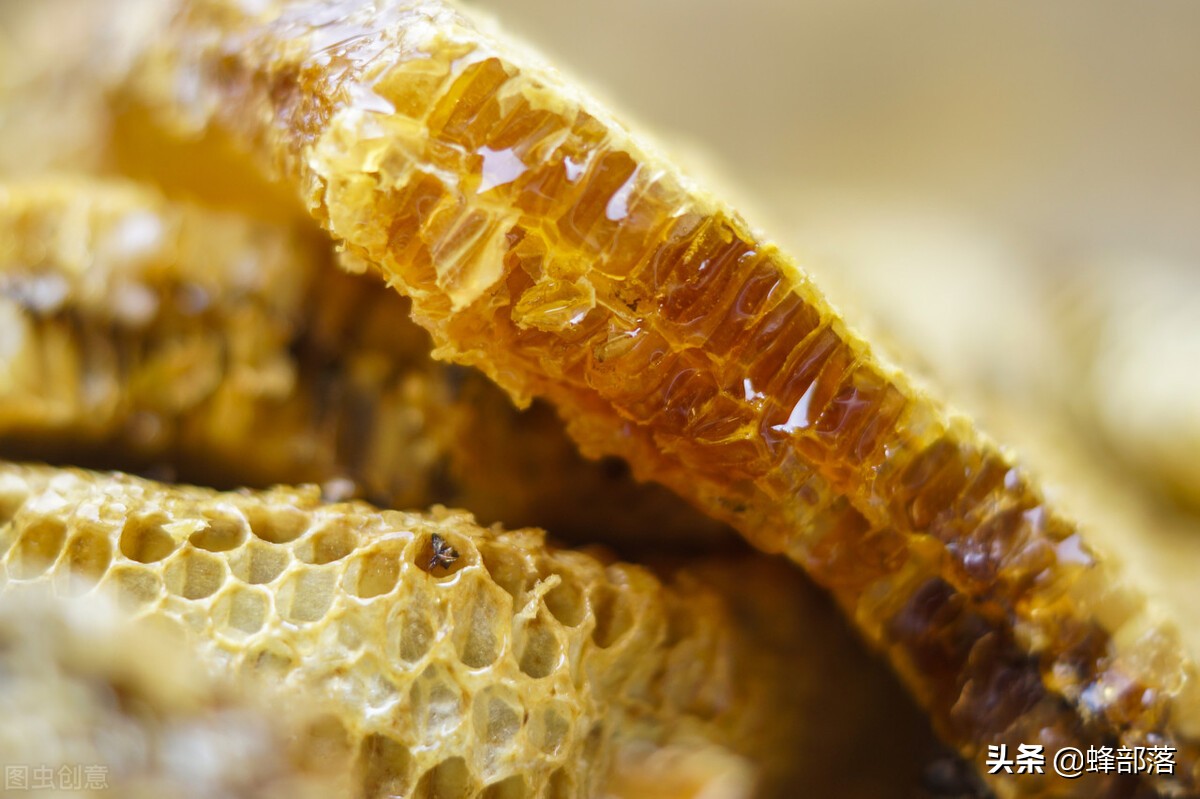 蜂蜜什么样的蜂蜜最好（盘点三个挑选蜂蜜的小技巧）