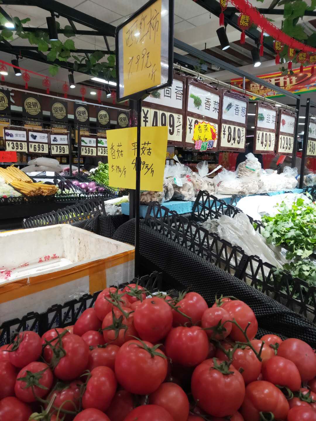 “傲娇”西红柿价格高得离谱，正式进入吃不起行列，为何如此贵？
