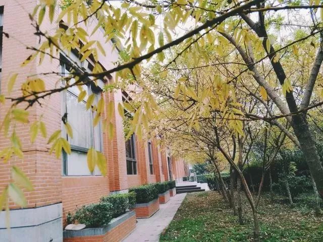 多少分能上郑州商学院？今年该校增加在豫本科招生计划近300人