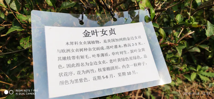 陪你一起看湖北省广水一中①——走进植物王国