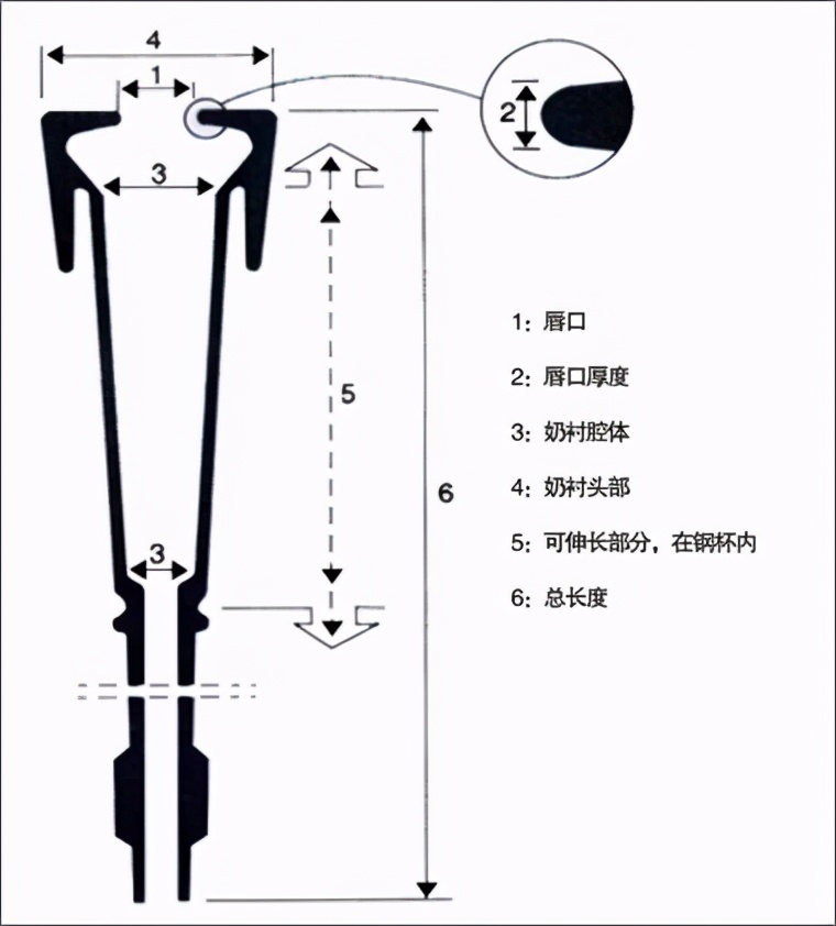 奶牛挤奶奶衬选择？