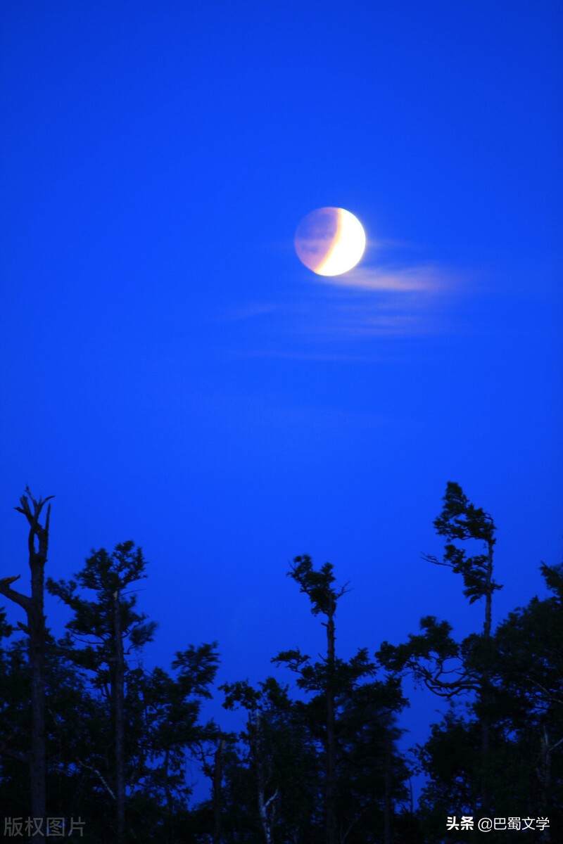秋意深深,夜晚,不再苦于夏的燠热,熄灯后,躺在凉席上,窗外传来唧唧的