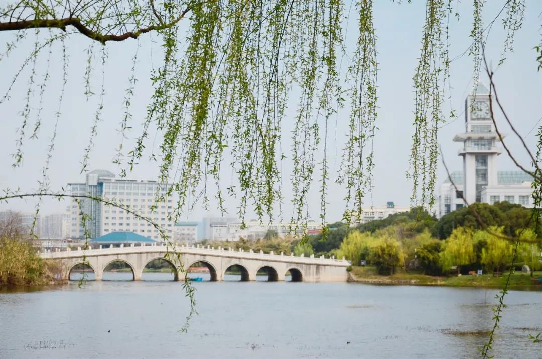 武汉的一些高校太有特色了，看完好想再来武汉读一次大学