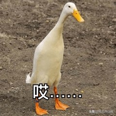 视频文件怎么转换？四招帮你轻松转换