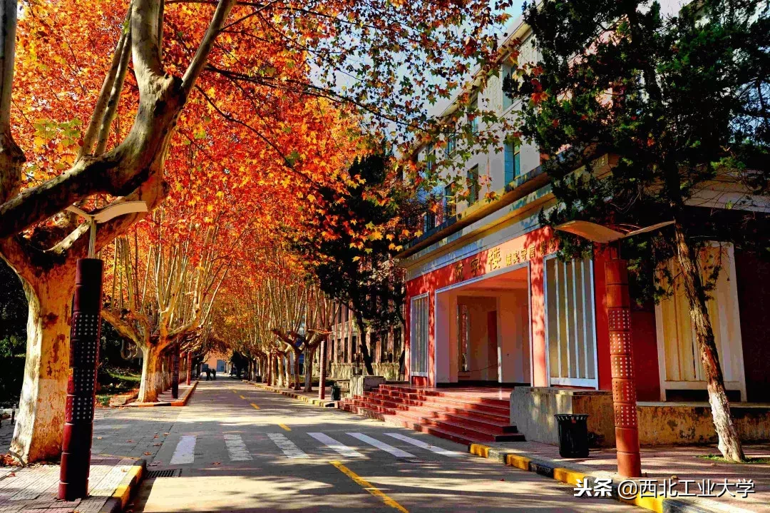 工大留声机丨送给你最全的“工大金曲”