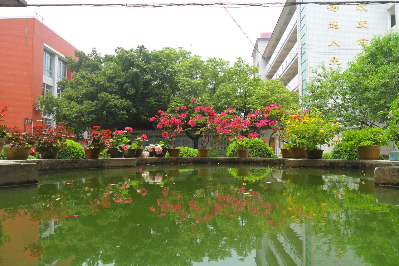 广西梧州出类拔萃四所好高中，梧州高中在列，其他三所你可知晓？