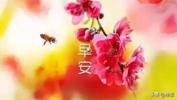 早安！前方有光，别回头，勇敢前行，未来可期。