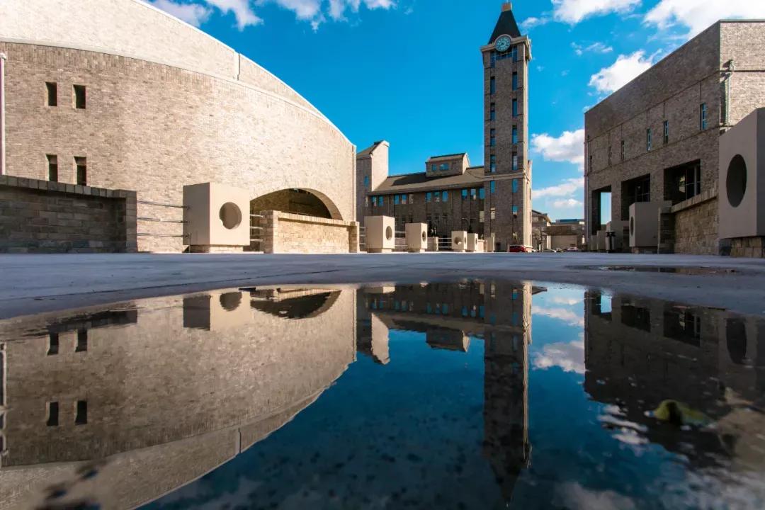 辽宁省民办大学(二)大连东软信息学院