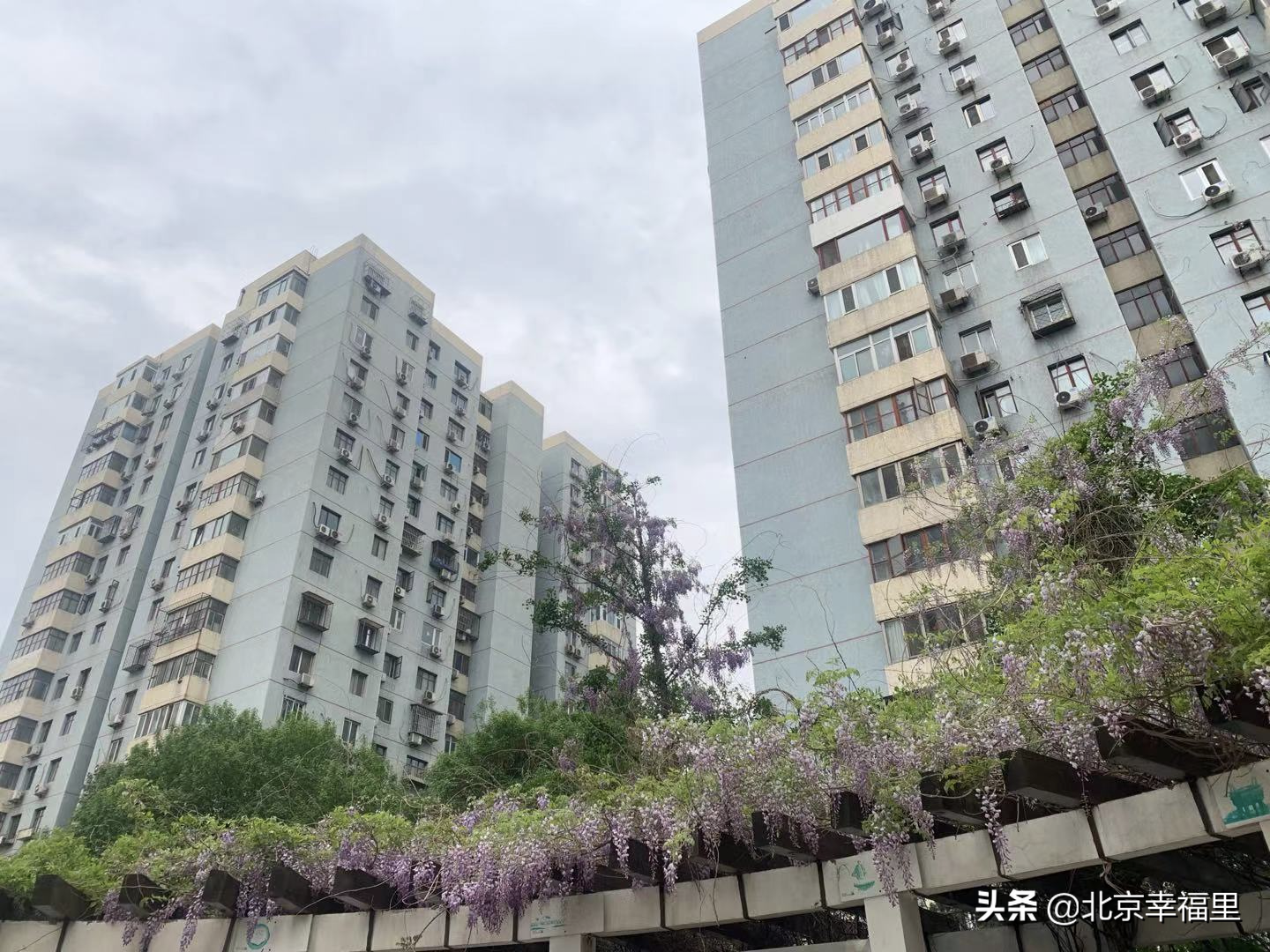 上车望京并不难！165万入住成熟社区吃喝玩乐俱全
