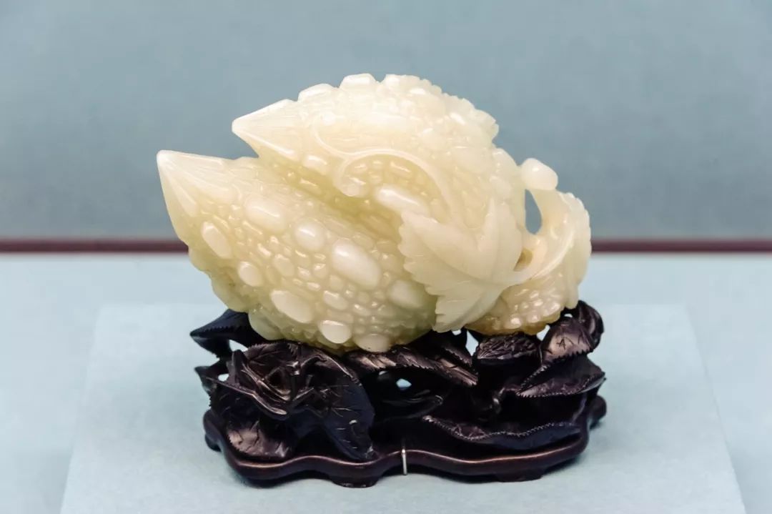 作者:黎荔台北故宫博物院藏有一款"白玉苦瓜",为清朝工匠用羊脂玉雕琢