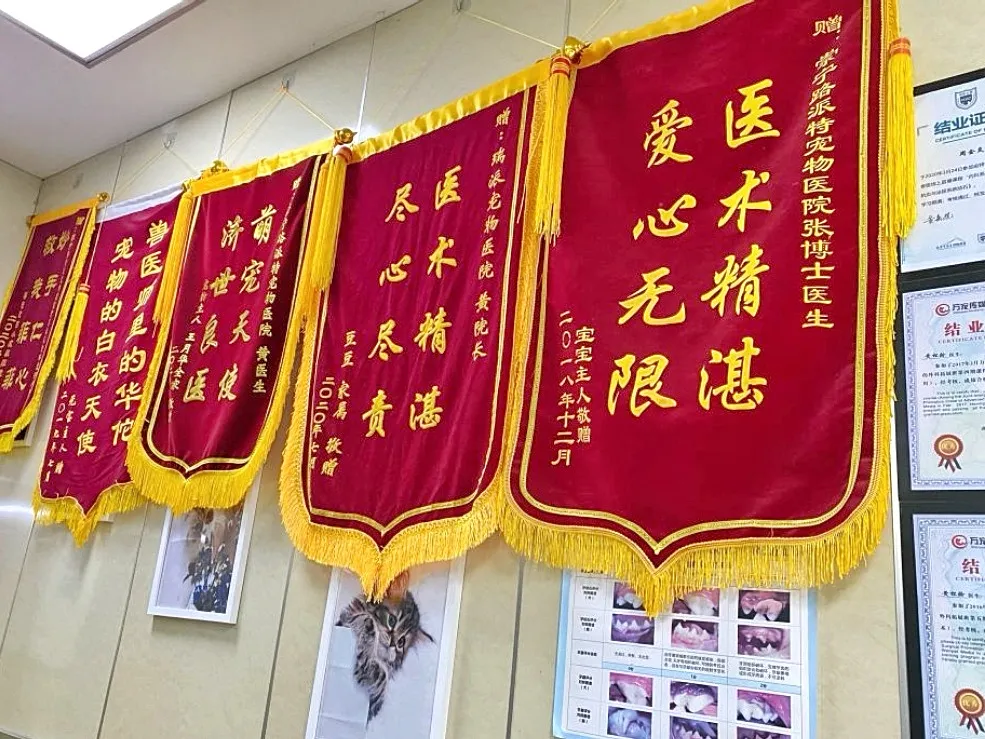 平凡而伟大:致敬最美兽医人