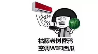 夏日炎热来袭，科威特73℃高温烤化汽车，这是真是假？