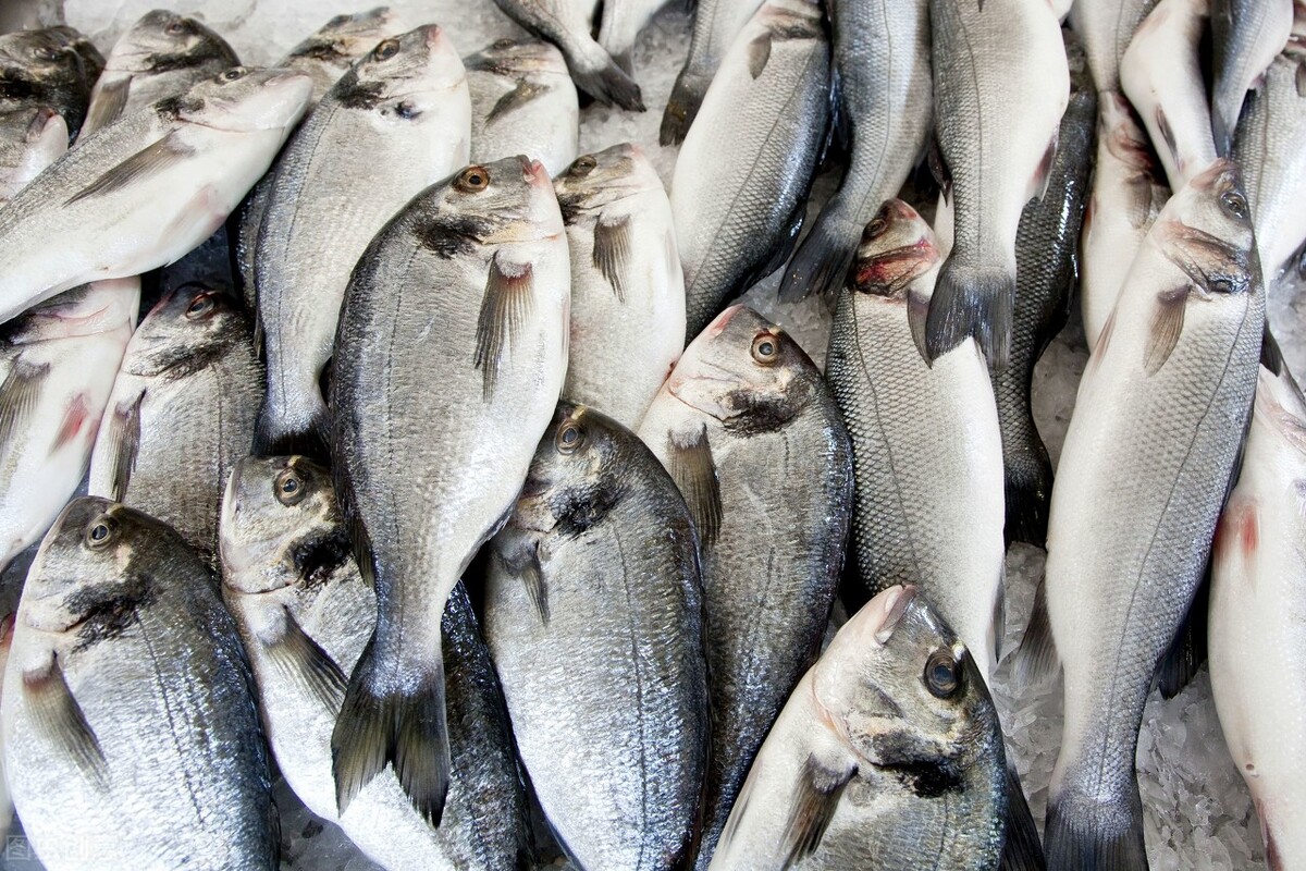 先是鱼价集体涨60%，今“菜比肉贵”，网友：下一个涨的是什么？