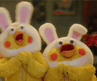 过来人留学干货讲座！一次性全部分享给你