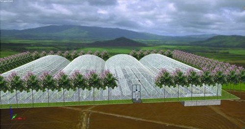 芽苗菜生产效益和前景分析