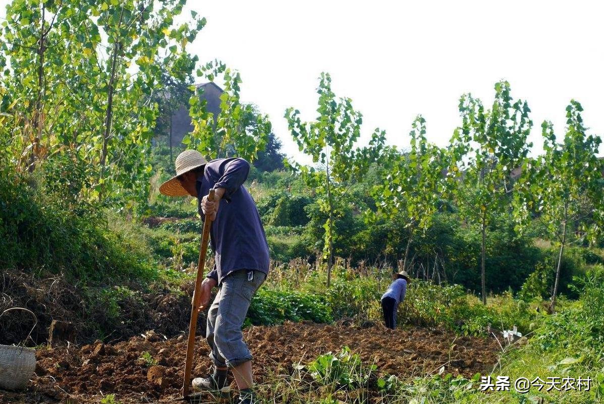 土地整理规划,土地整理规划设计收费标准