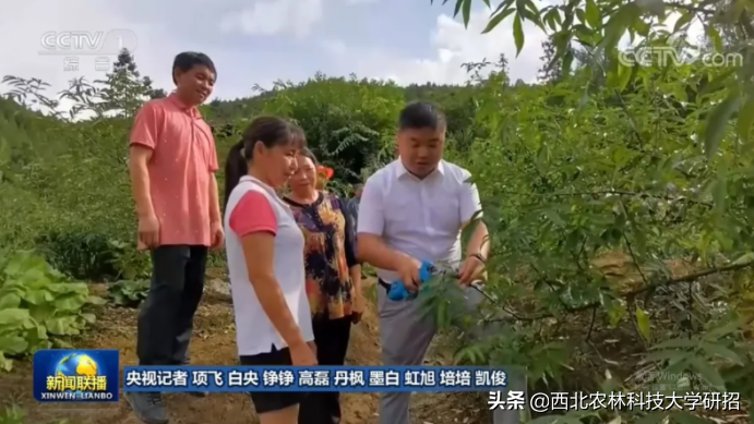 央视报道！陕西研究生曾破解技术难题，如今被教育部“点名”表扬