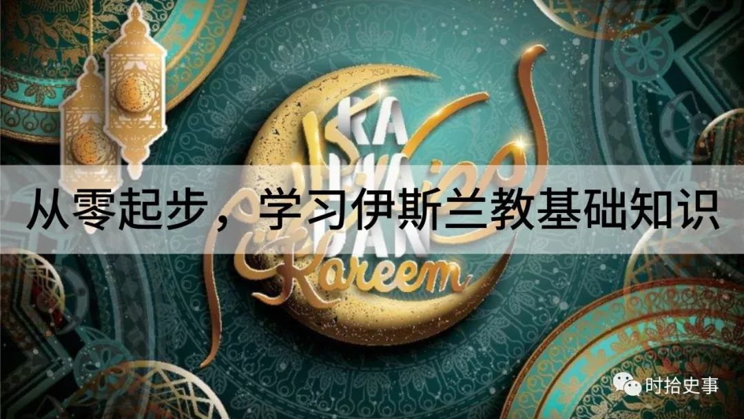 这个“保保”有点猛