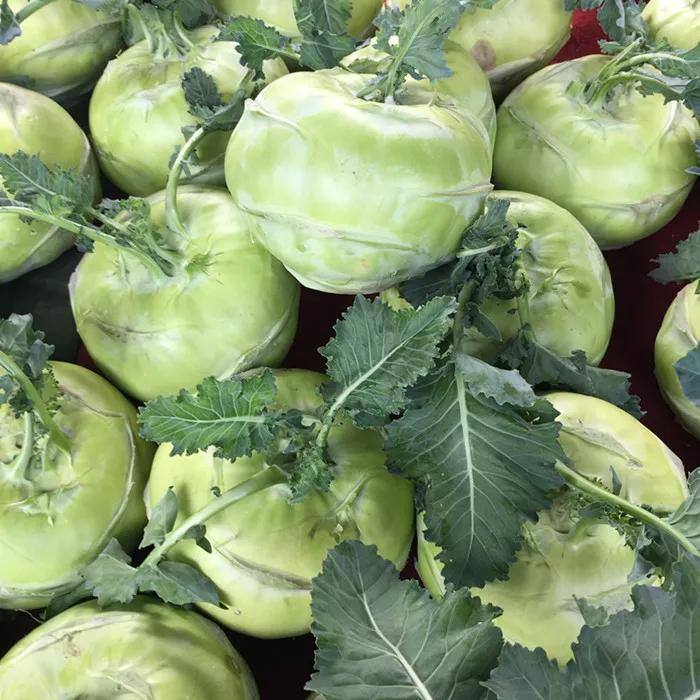 苤蓝记忆深处家乡的味道