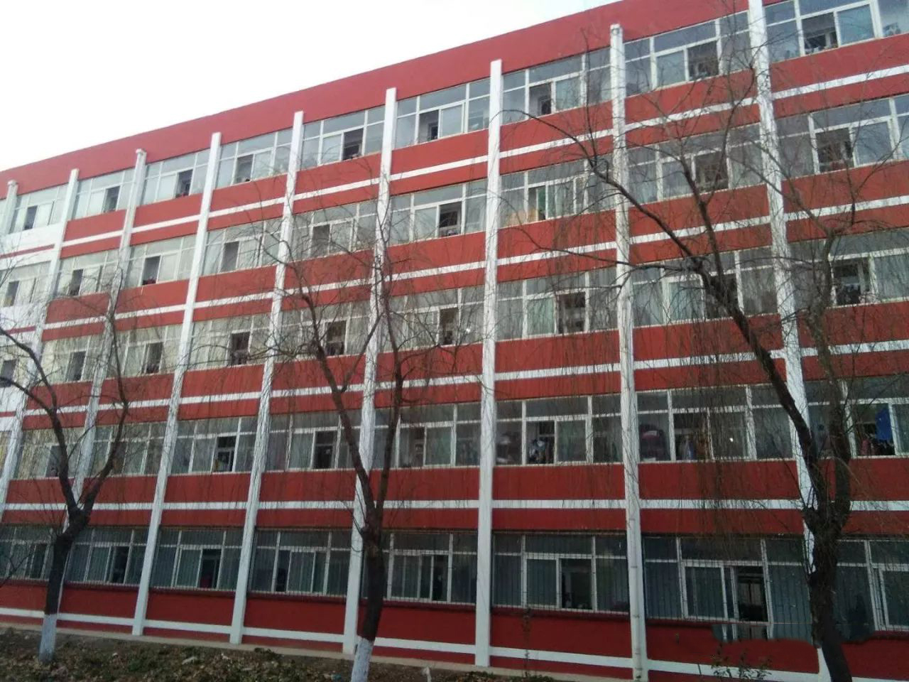 河北邯郸八所好高中，2020高考放榜，魏县一中六百分上线近五百人