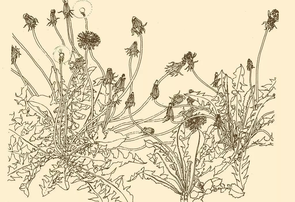 书画收藏里的这些“黑话”你都懂吗？看完这些你也能成收藏专家