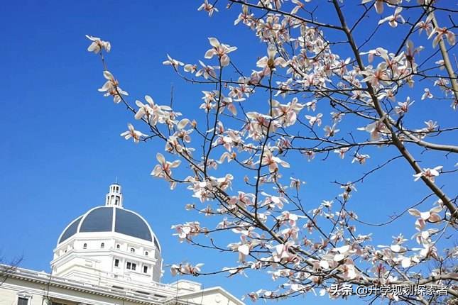 报考外国语大学，这11所外国语大学你必须要了解！