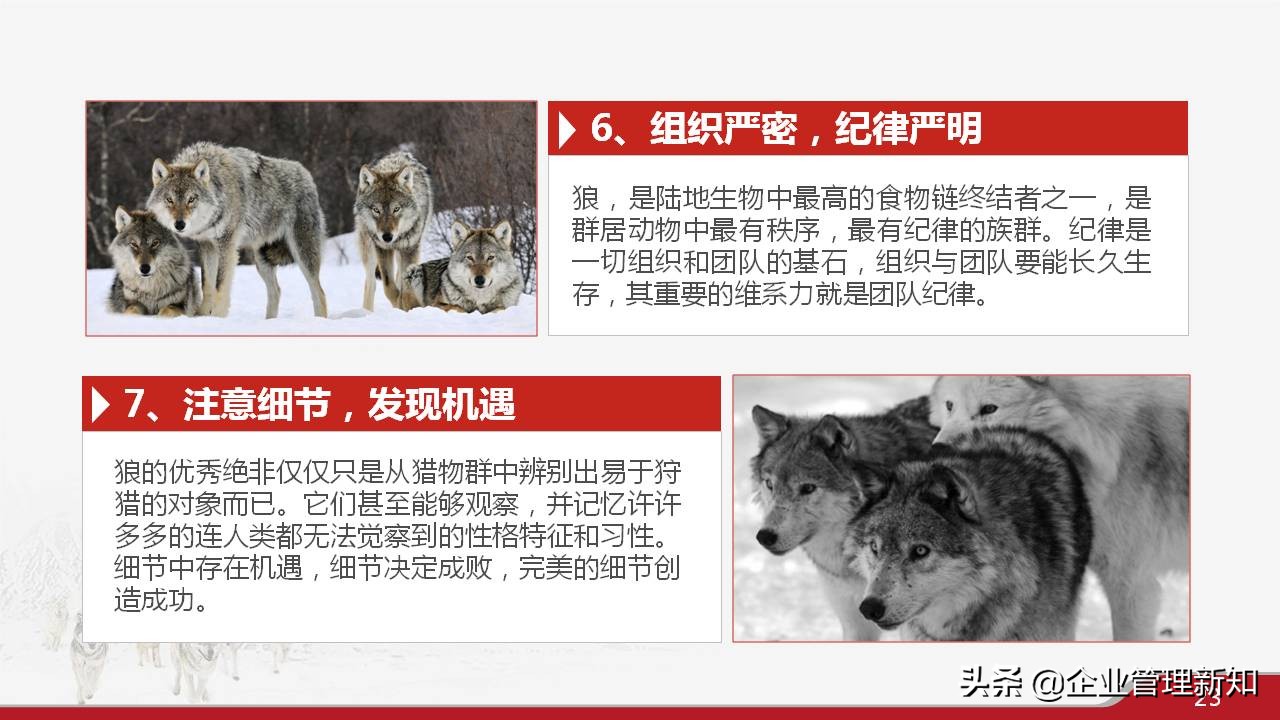 33页完整版，狼性文化与企业精神培训PPT，可直接用于员工培训