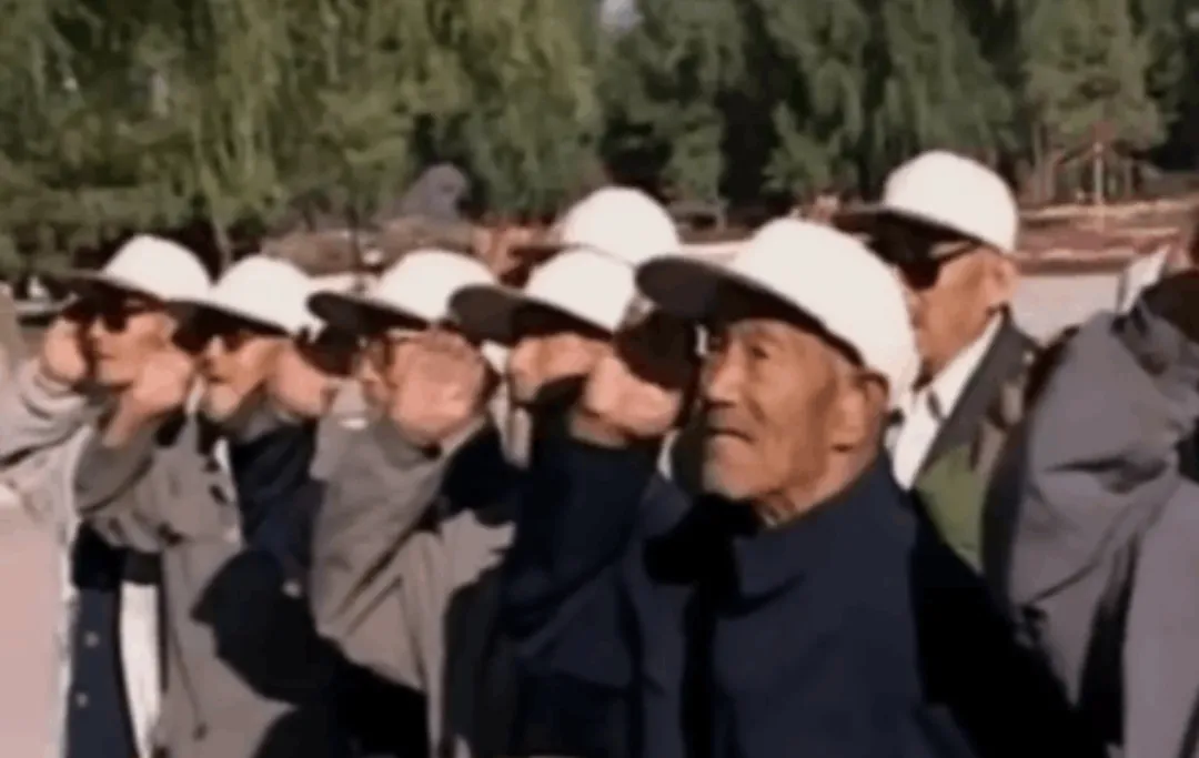 17位老人在宾馆地毯上睡了一夜，他们是谁？