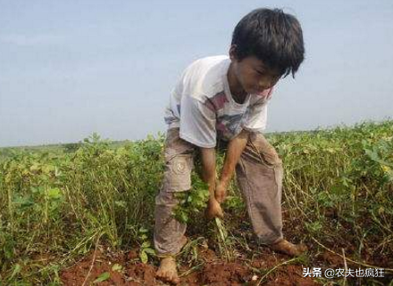 “老大宠老三惯，老二受气倒霉蛋”有道理吗？为何老二不受待见？