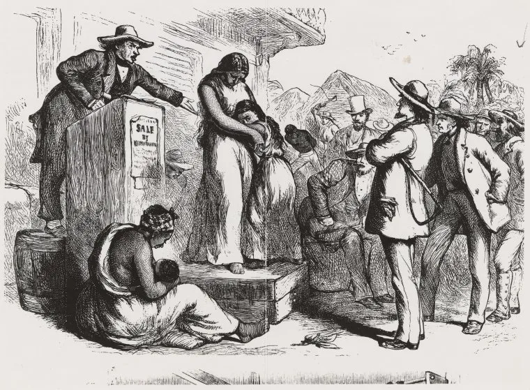 美国往事：棉花、奴隶与世界经济