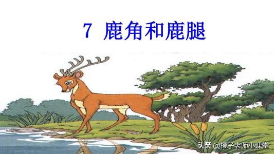 三年级语文《鹿角和鹿腿》，看老师备课笔记，感受鹿的心情变化