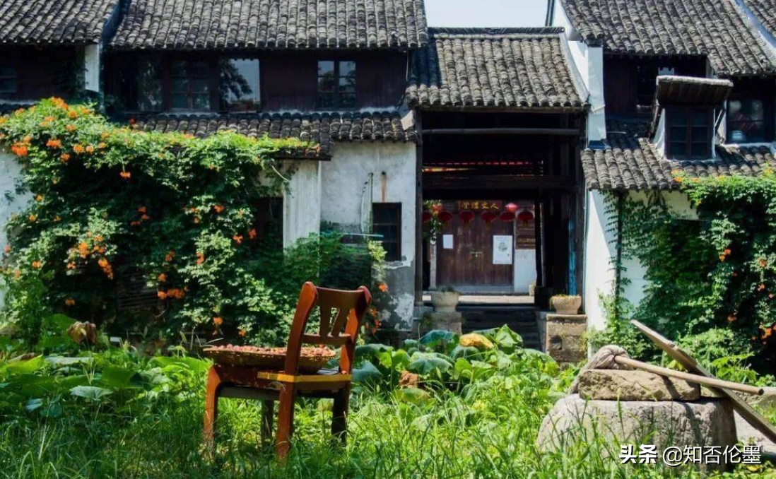 农村院子里不宜种植的十种凶树：影响风水与居住安全的植物警示