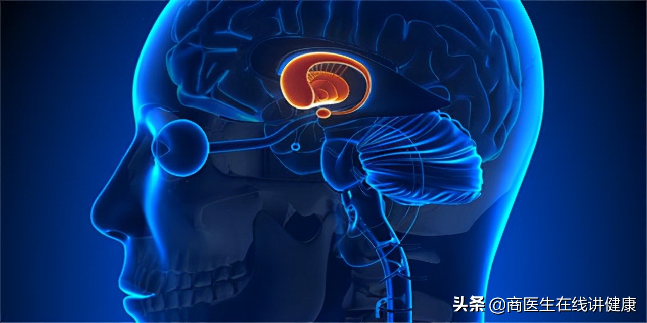 “心肌发动机”：辅酶Q10对心脏有什么好处？