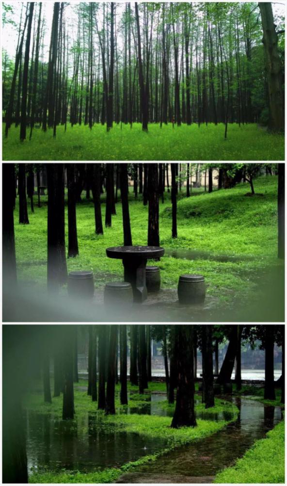 坐拥6站地铁，36个食堂！2019高考志愿填报，来华中科技大学就对了！