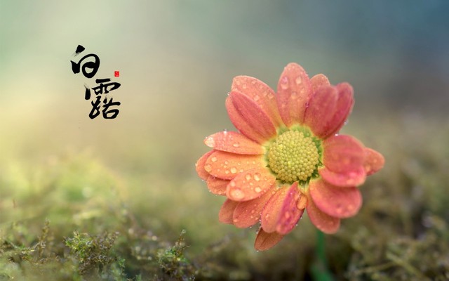 2021年8月8日农历七月初一出生的女宝宝命运好吗_达一风水网