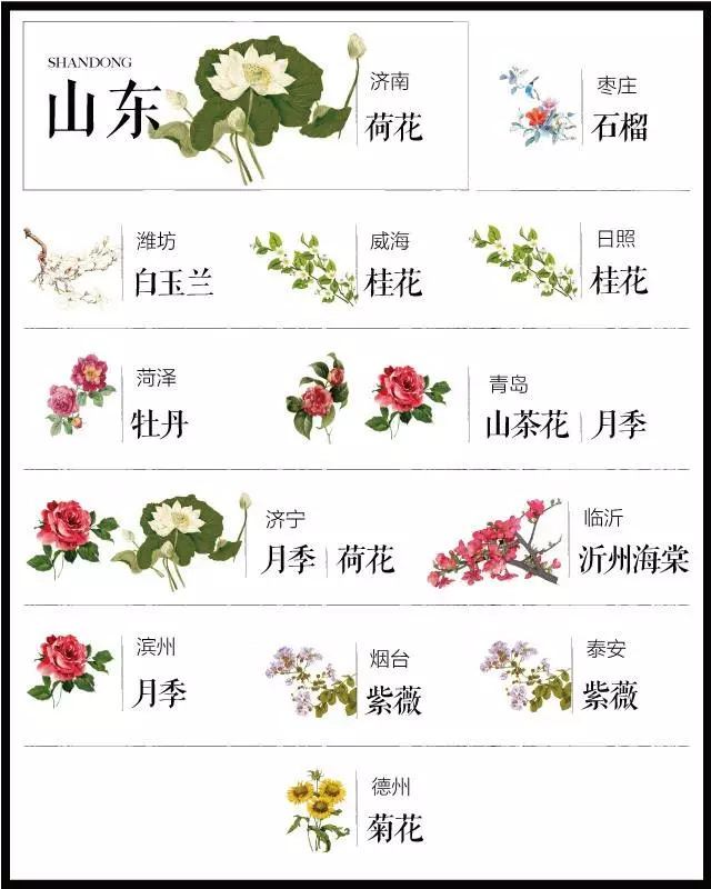 中国十大城市市花（史上最全中国各城市市花）