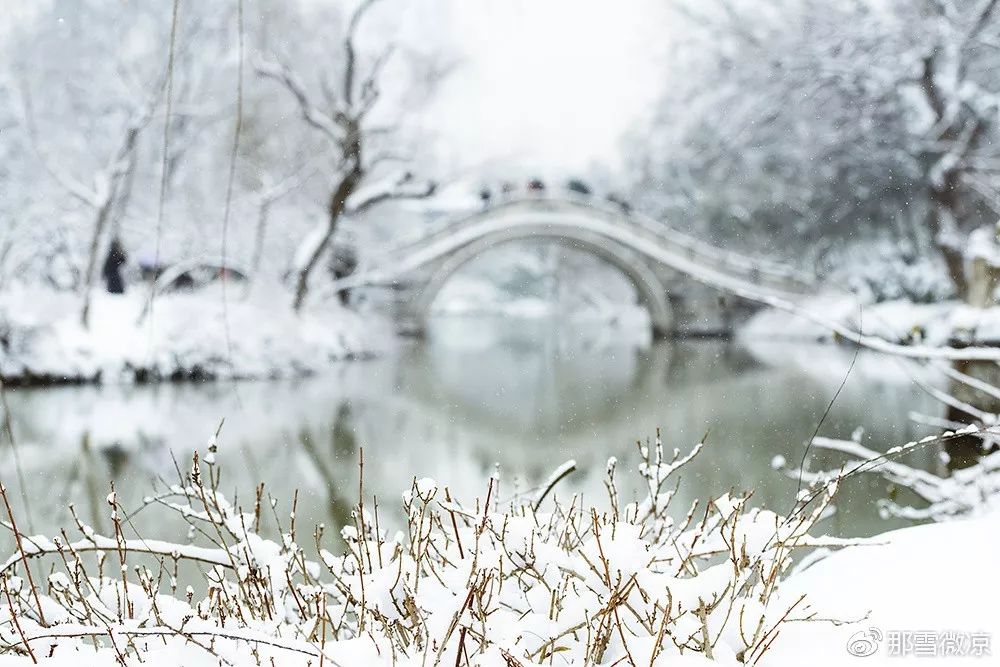 花影飞雪瘦西湖，诗词梦里醉扬州