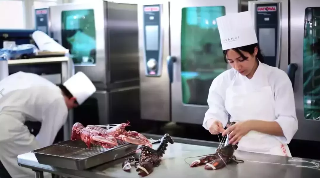 想去法国留学怎么申请学校？国际专业烘焙学校介绍连载2-费航迪