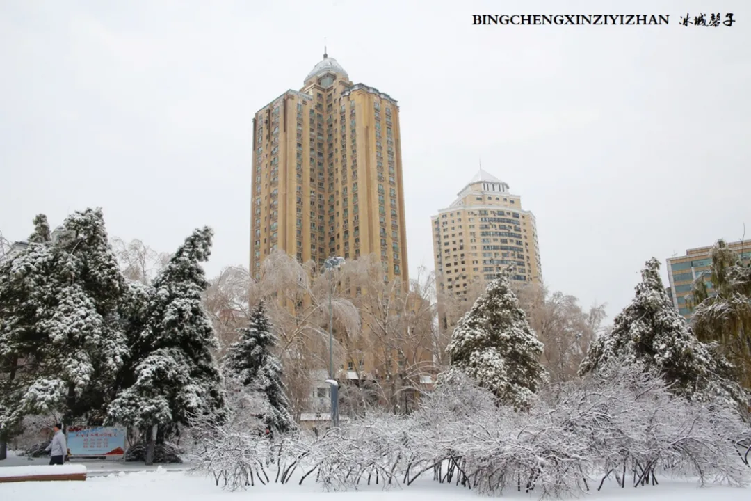 冰城暴雪冻雨之时，却让哈尔滨成为冬的水墨画卷