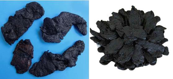 中药生熟地黄各有何作用(生地黄和熟黄的药用)