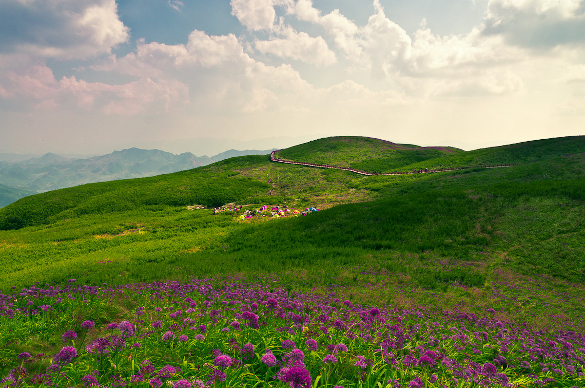 2,大韭菜坪(天上花海)