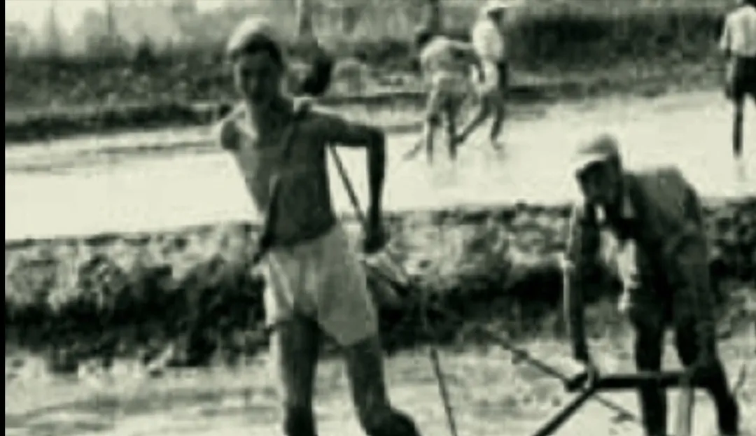 17位老人在宾馆地毯上睡了一夜，他们是谁？