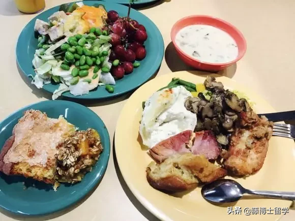 「藤博士院校解读」雪城大学！我是美国＂政治家和校长的摇篮＂