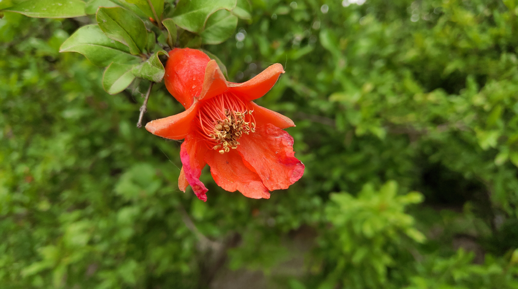 余生，淡淡爱，淡淡相守