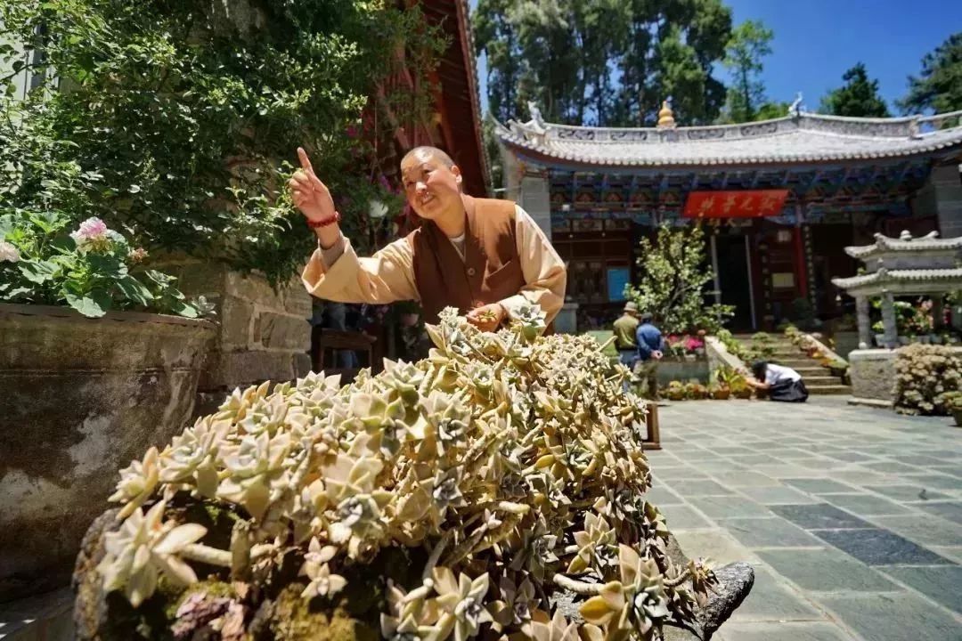 最美的尼姑庵，不烧香只种花，看一眼就想出家