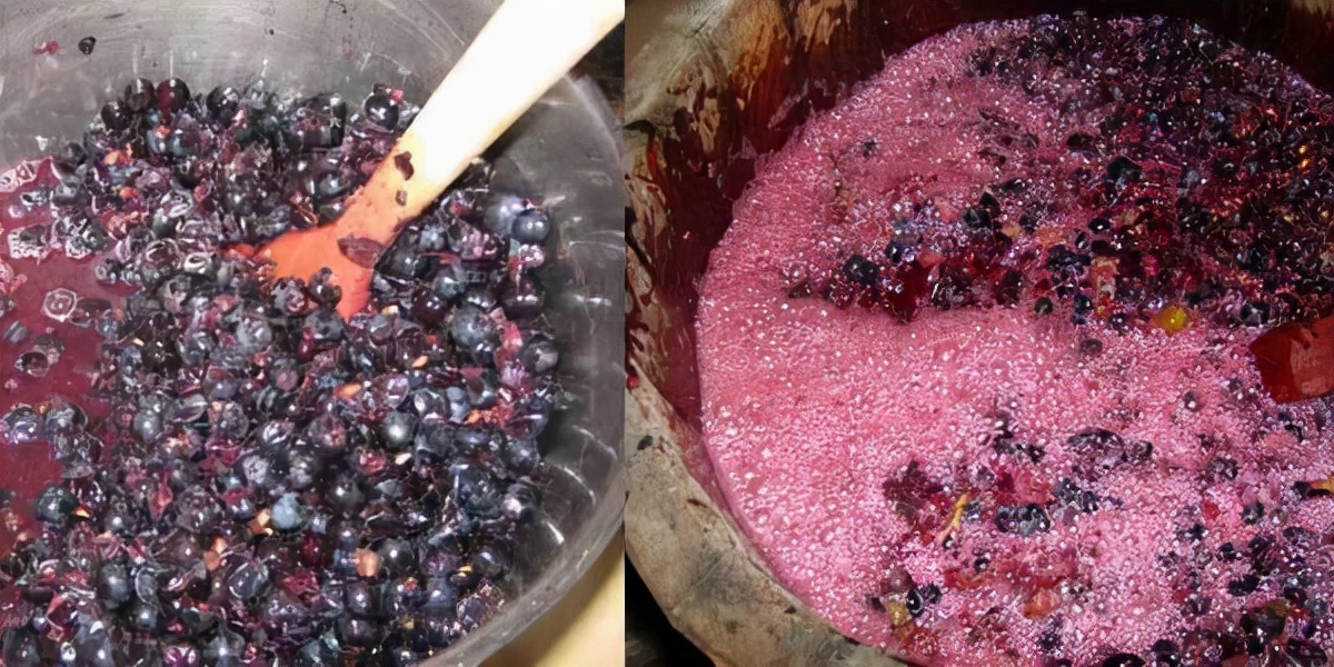 自制葡萄酒放了10年可以喝吗 -生活知识库-donow知识库