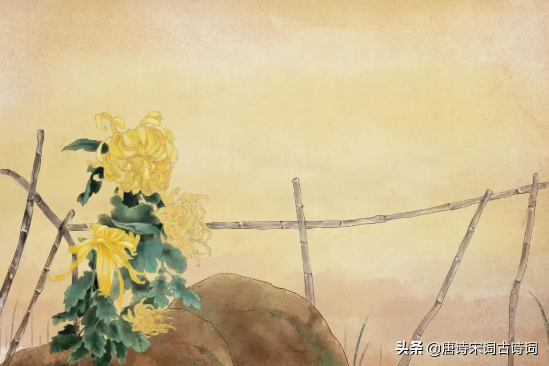 青山修竹矮篱笆,仿佛林泉隐者家