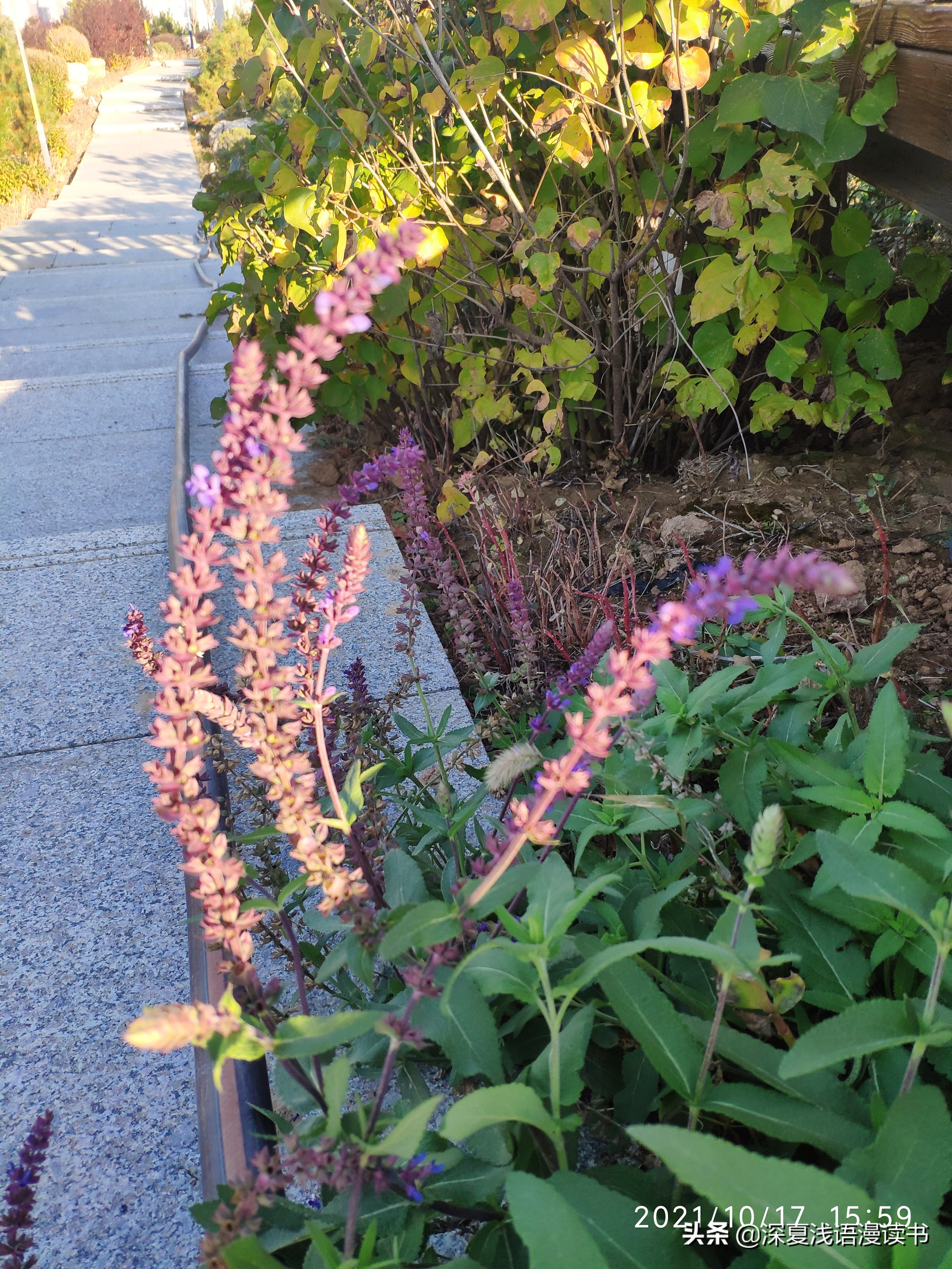 高中记18：学校纪律严格多数学生受益，想起中学某同桌恨意难消